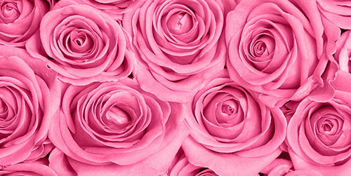 Логотипы в розовом: la vie en rose